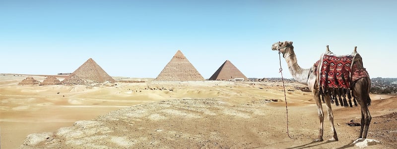 Archaeological Expedition